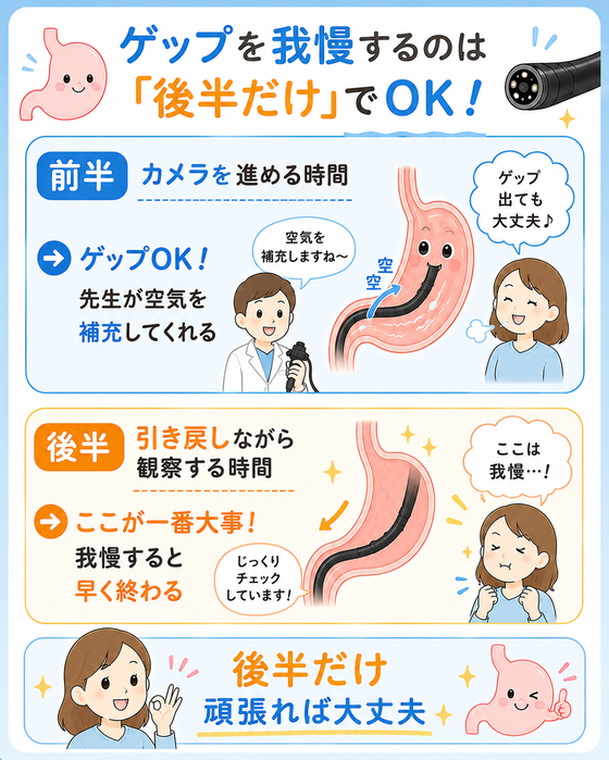 ゲップを我慢するのは「後半だけ」でOK!