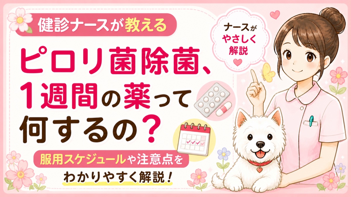 【健診ナースが伝授】ピロリ菌除菌の1週間！飲み忘れを防ぐコツと注意点・除菌後にすること🌸