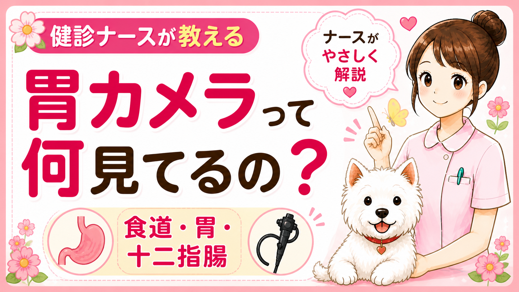 【人間ドックQ&A】胃カメラって何を見てるの？食道・胃・十二指腸でわかること、ナースが全部教えます🌸