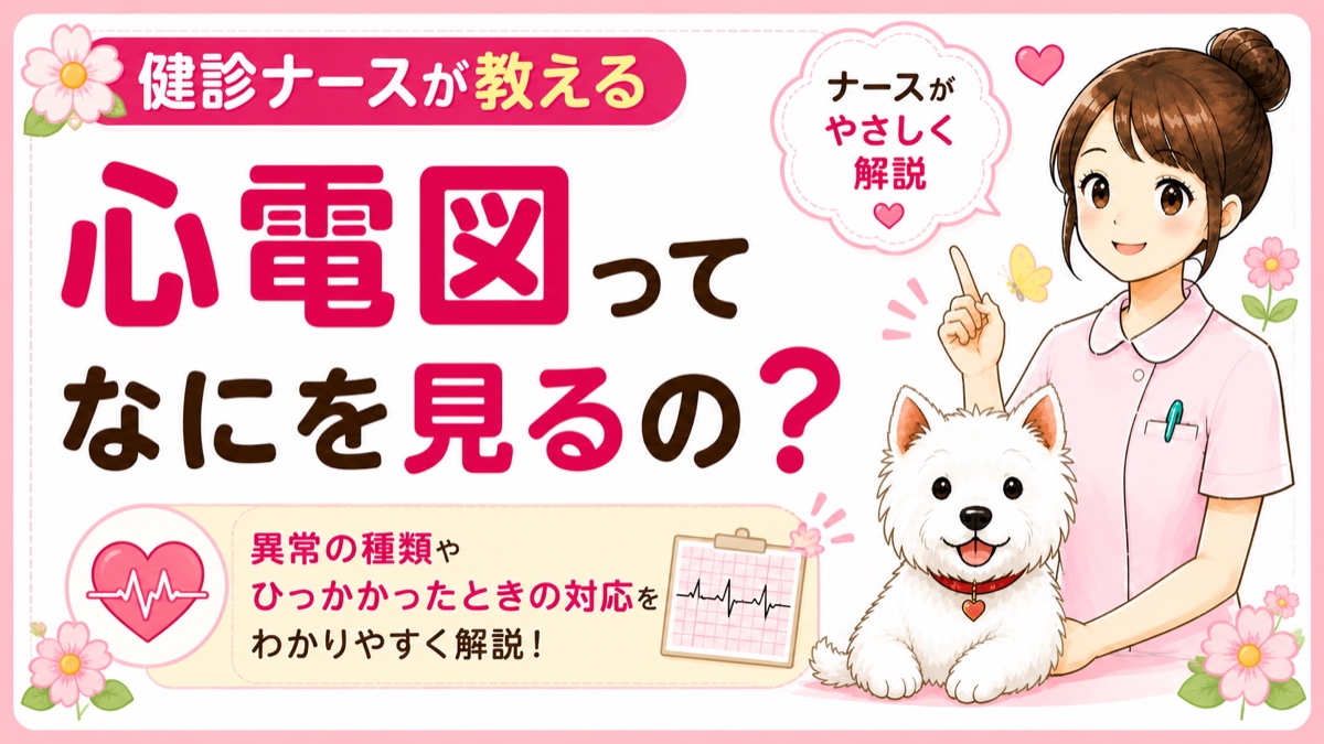 【人間ドックQ&A】心電図で「異常あり」と言われた。何が起きているの？現役ナースが検査の意味をやさしく解説🌸