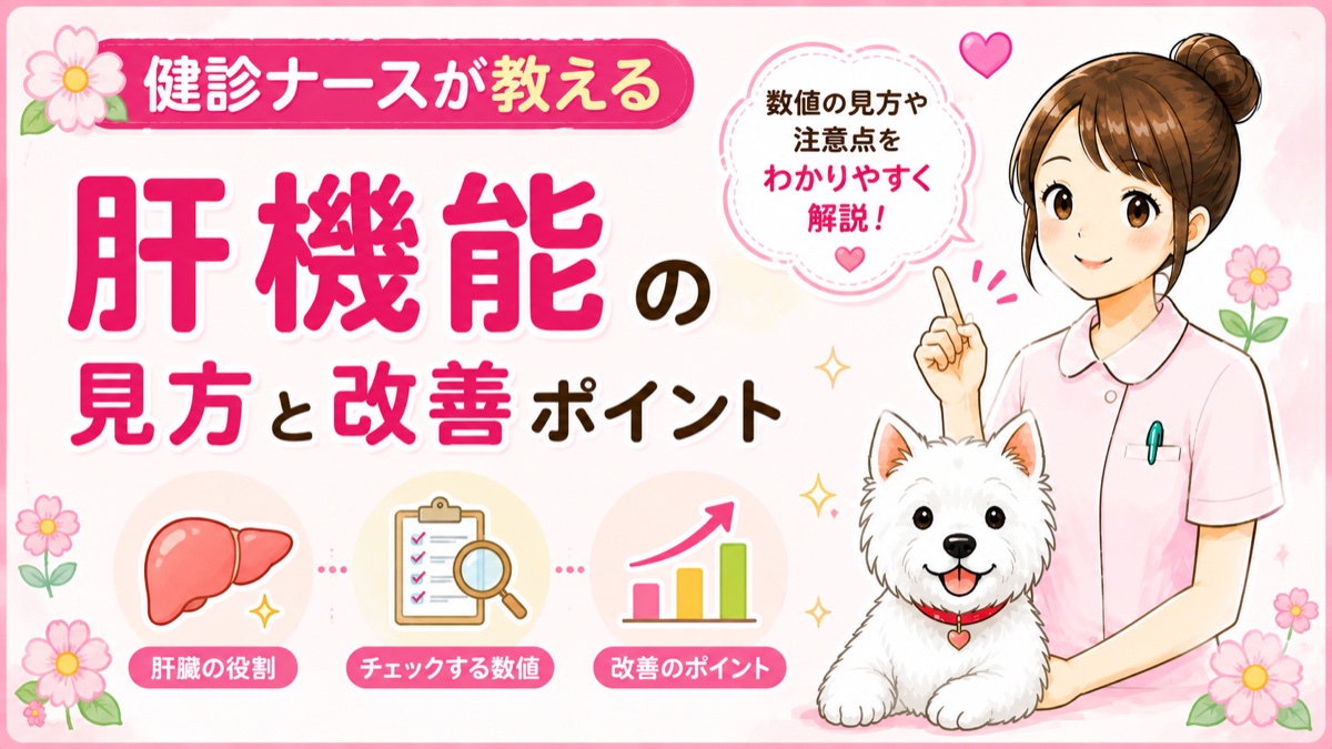 【人間ドックQ&A】肝機能（AST・ALT・γGTP）が高いと言われた。現役ナースが数値の意味と原因をやさしく解説🌸