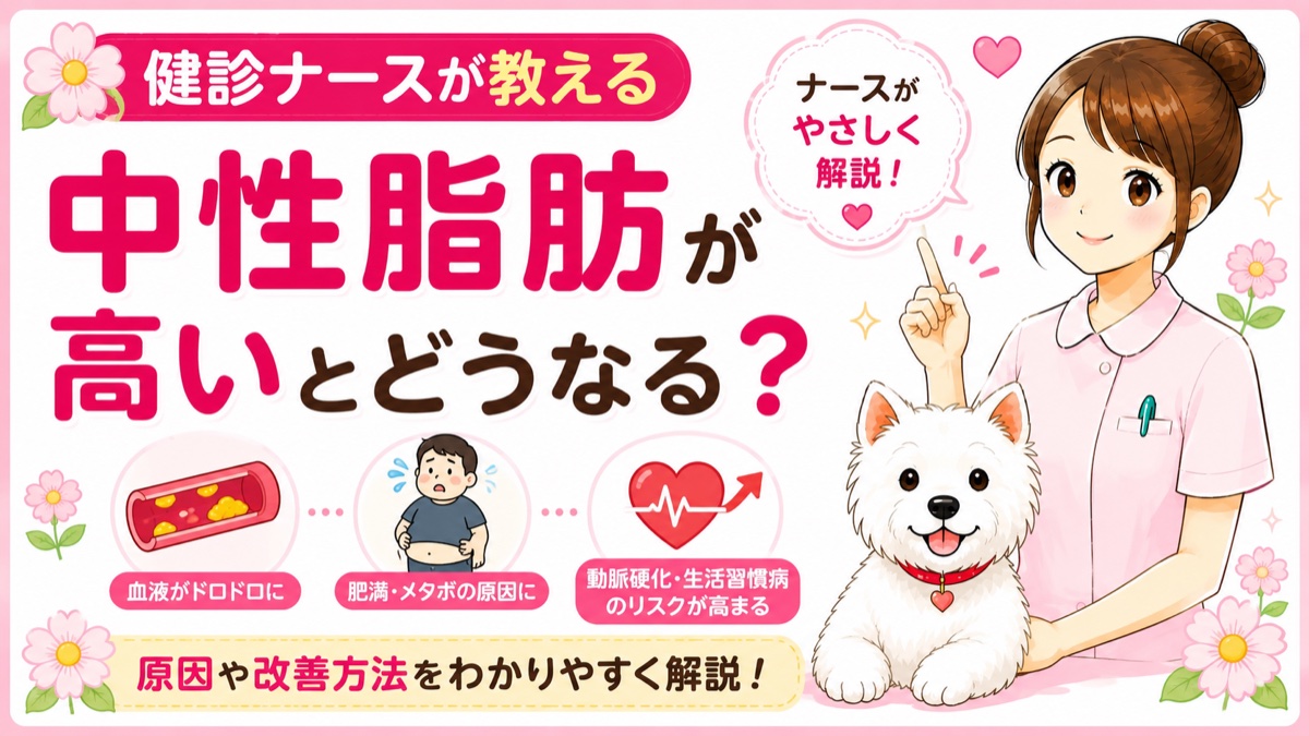 【人間ドックQ&A】中性脂肪が高いと言われた。お酒を飲まないのになぜ？現役ナースが原因と対策を解説🌸
